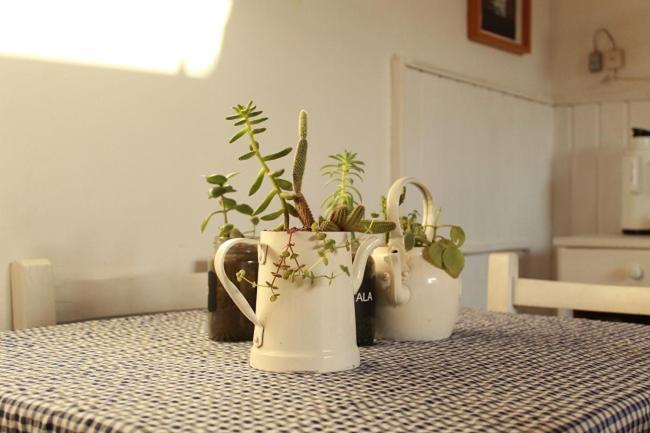 Alma De Proa Bed & Breakfast San Antonio de Areco Εξωτερικό φωτογραφία